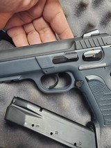 EAA Witness-P-S - 2 of 6