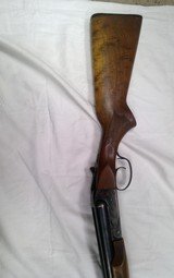 SAVAGE FOX SXS - 2 of 3