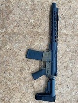 PALMETTO STATE ARMORY PA-15 - 2 of 2