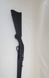RUGER 10/22 - 6 of 7