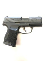 SIG SAUER P365 NITRON - 1 of 1