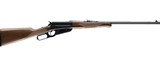 WINCHESTER 1895 - 1 of 1