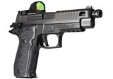 SIG SAUER P226 ZEV - 3 of 3