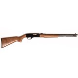 WINCHESTER MODEL 190 - 3 of 4