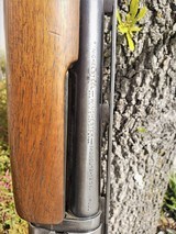 WINCHESTER MODEL 12 - 3 of 7