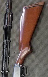 WINCHESTER 12 - 2 of 7