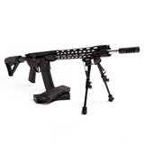 PALMETTO STATE ARMORY PA-15 - 3 of 4