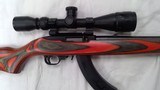 RUGER 10/22 - 2 of 2