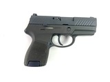 SIG SAUER P320 SUB-COMPACT - 1 of 2