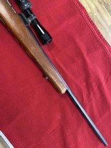 WEATHERBY Vanguard VGL 223 wood stock - 6 of 7