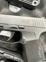 SIG SAUER P365 NIGHT VISION SIGHTS,TWO 10 ROUND MAGAZINES - 2 of 7