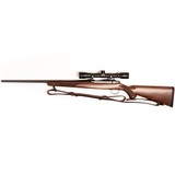 RUGER M77/17 - 1 of 5