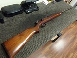 WINCHESTER 67 - 1 of 7