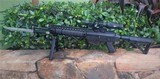 SIG SAUER 556 - 1 of 7