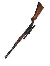 WINCHESTER 290 - 1 of 3