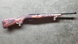 Ruger 10/22 Wild Hog - 1 of 2