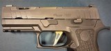 SIG SAUER P320 XCARRY SPECTRE - 5 of 6