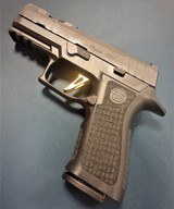 SIG SAUER P320 XCARRY SPECTRE - 1 of 6