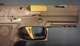 SIG SAUER P320 XCARRY SPECTRE - 6 of 6