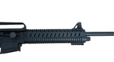 PW ARMS AR12 - 6 of 7