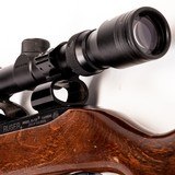 RUGER 10/22 Carbine - 11 of 12