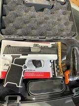 SIG SAUER P365 NITRON - 1 of 4