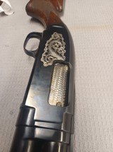 WINCHESTER Model 12 Pigeon - 5 of 8