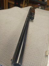 WINCHESTER Model 12 Pigeon - 3 of 8