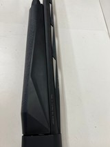 LEGACY SPORTS Pointer - 2 of 5