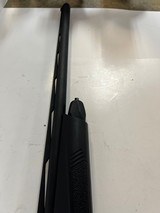 LEGACY SPORTS Pointer - 3 of 5
