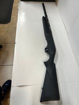 LEGACY SPORTS Pointer - 1 of 5