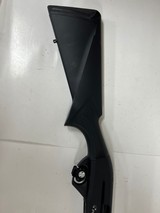 LEGACY SPORTS Pointer - 5 of 5