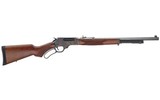 HENRY LEVER ACTION - 1 of 1