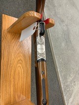 LEGACY SPORTS Pointer - 2 of 4