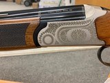 LEGACY SPORTS Pointer - 3 of 4