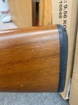 LEGACY SPORTS Pointer - 4 of 4