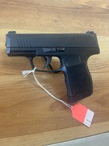 SIG SAUER P365 - 1 of 7