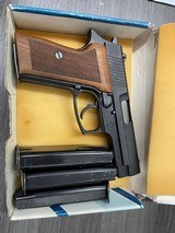 V. BERNARDELLI P-018 - 1 of 3