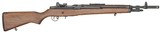 SPRINGFIELD ARMORY M1A SCOUT SQUAD