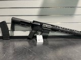 PALMETTO STATE ARMORY AR-15 - 1 of 2