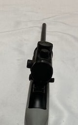 RUGER 10-22 - 5 of 7