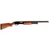 WINCHESTER MODEL 1300 YOUTH - 3 of 4