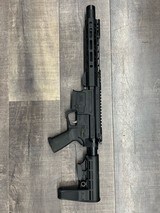 PALMETTO STATE ARMORY AR-V - 2 of 3