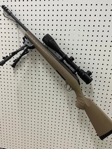 RUGER PRED - 6 of 7