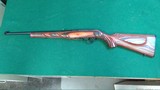 Ruger 10/22 Wild Hog - 3 of 4