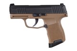 SIG SAUER P365 - 1 of 1