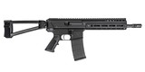 PALMETTO STATE ARMORY JAKL - 1 of 1
