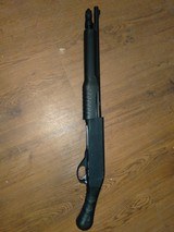 CHIAPPA HONCHO - 1 of 6