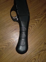 CHIAPPA HONCHO - 5 of 6