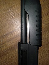 CHIAPPA HONCHO - 3 of 6